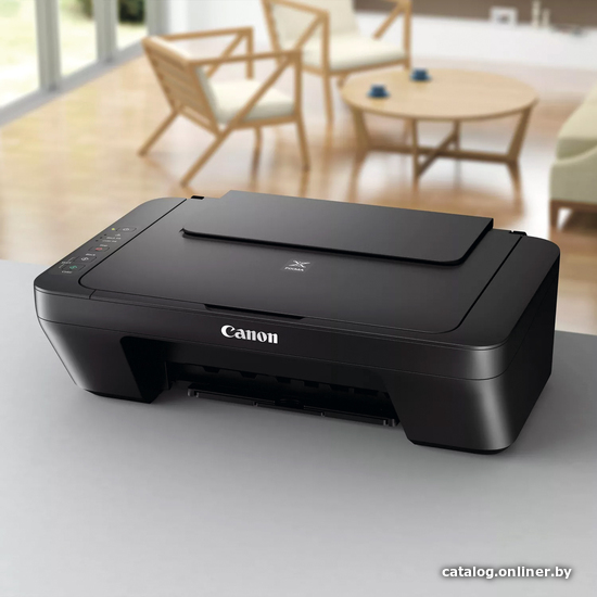 МФУ Canon PIXMA MG2555S 0727C026