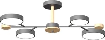 Люстра средней высоты LED4U L3213-670 GR