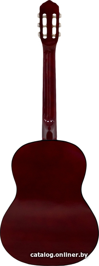 Акустическая гитара Belucci BC3905 N