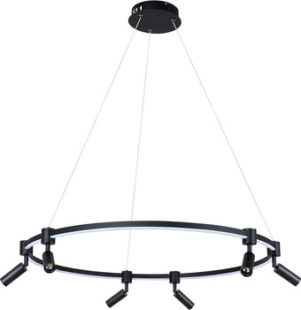 Подвесная люстра Arte Lamp Ring A2186SP-1BK