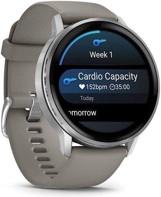 Умные часы Garmin Venu 4 45 мм (серебристый/серый)