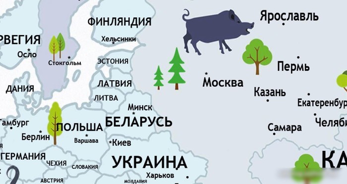 Фотообои ФабрикаФресок Детская карта с планетами 263270 (300x270)
