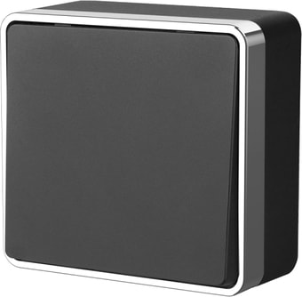 Выключатель Werkel W5010035