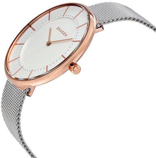 Наручные часы Skagen SKW2583