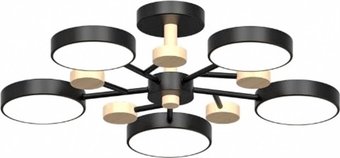 Припотолочная люстра LED4U L3204-620 BK