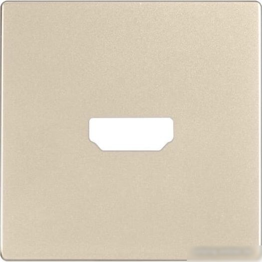 Накладка для розетки Werkel W1196011 a050870