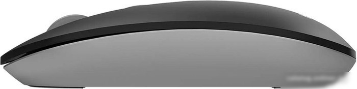 Мышь A4Tech Fstyler FG20S (серый)