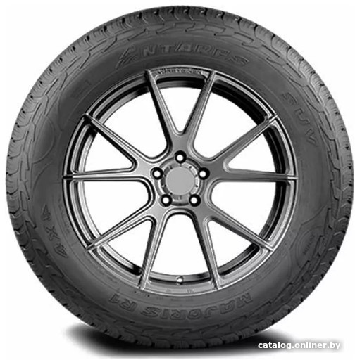 Летние шины Antares Majoris R1 245/55R19 103H