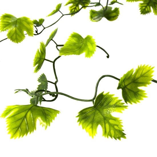 Искусственное растение Lucky Reptile Gape Leaf Vine LP-73