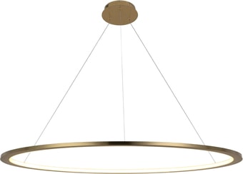 Подвесная люстра LOFT IT Ring 10014XXL