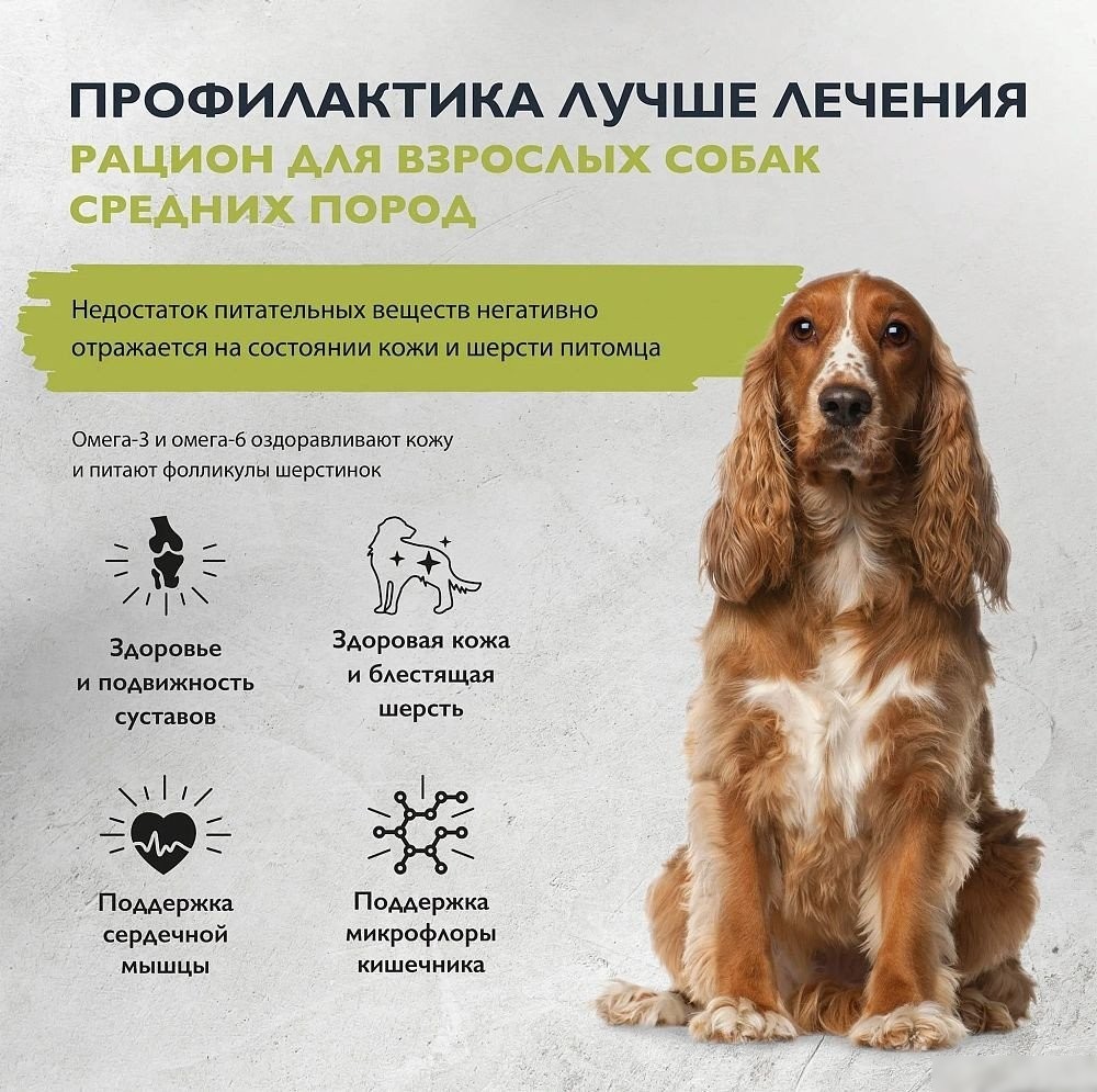 Сухой корм для собак Brit Care Dog Adult Medium Healthy Skin&Shiny Coat 3 кг
