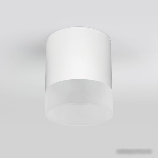 Уличный накладной светильник Elektrostandard Light LED 2107 35140/H (белый)