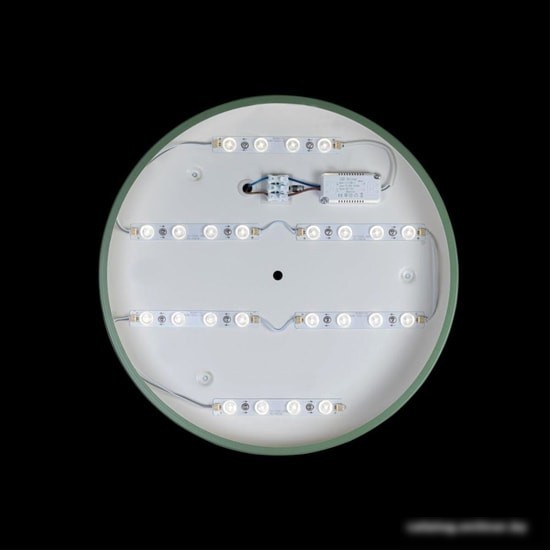 Люстра-тарелка LOFT IT Axel 10003/24 Green