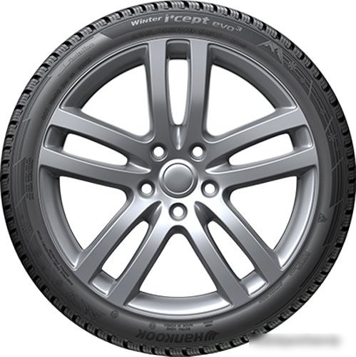 Зимние шины Hankook Winter i*cept evo3 W330 305/30R20 103W
