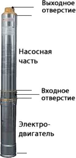 Скважинный насос Belamos TF3-80