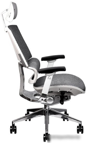 Кресло Thermaltake CyberChair E500 GGC-EG5-BWLFDM-01 (серый)