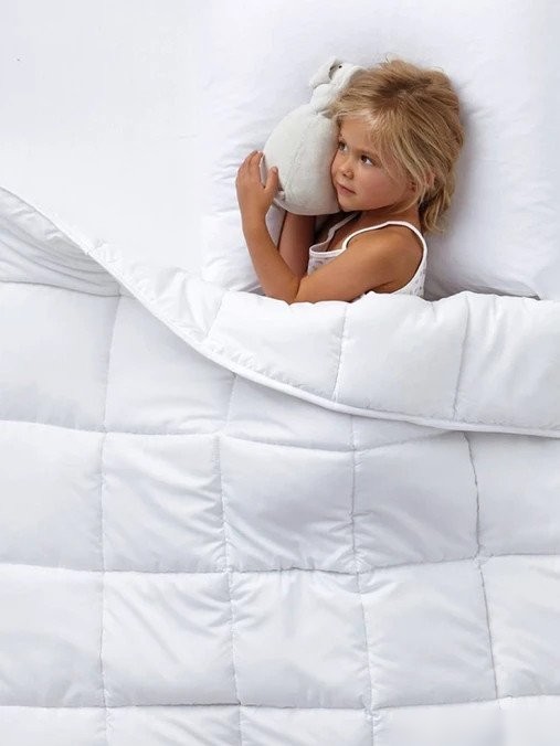 Одеяло GoodNight Comfort 172x205 OLM300dv (лебяжий пух/микрофибра)