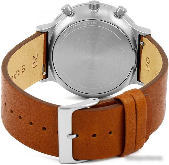 Наручные часы Skagen SKW6358