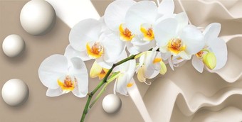 Фотообои Citydecor Цветочный декор 6 3D 500x254