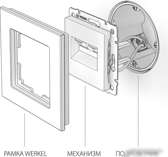 Розетка компьютерная Werkel W1181103 a051489
