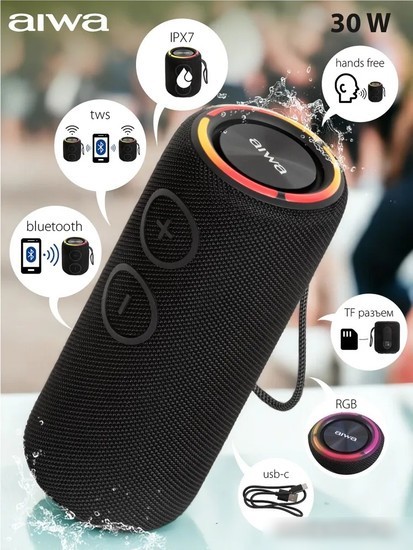 Беспроводная колонка Aiwa PAS-H300 (черный)