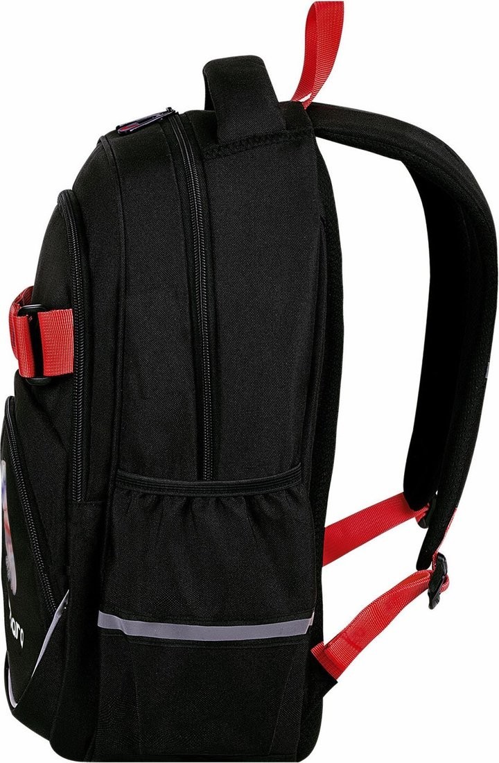 Школьный рюкзак BRAUBERG Motion. Calm Capy 272032