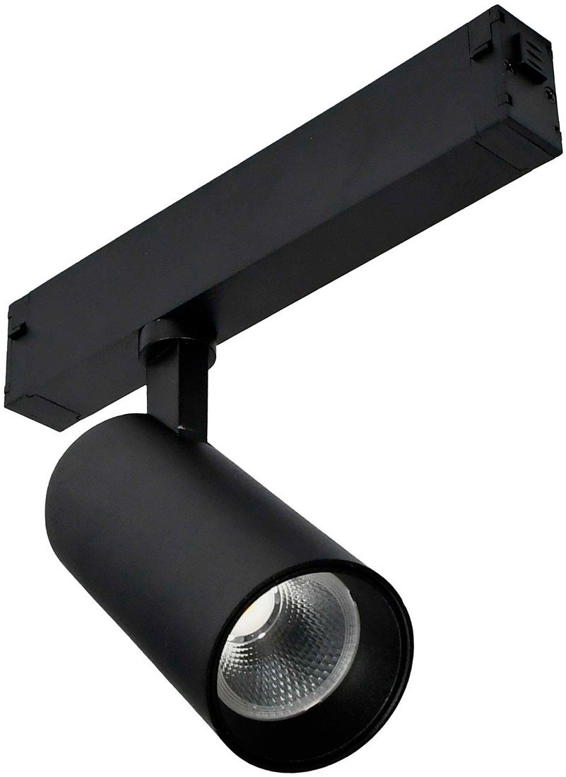 Трековый светильник ST Luce ST660.436.20