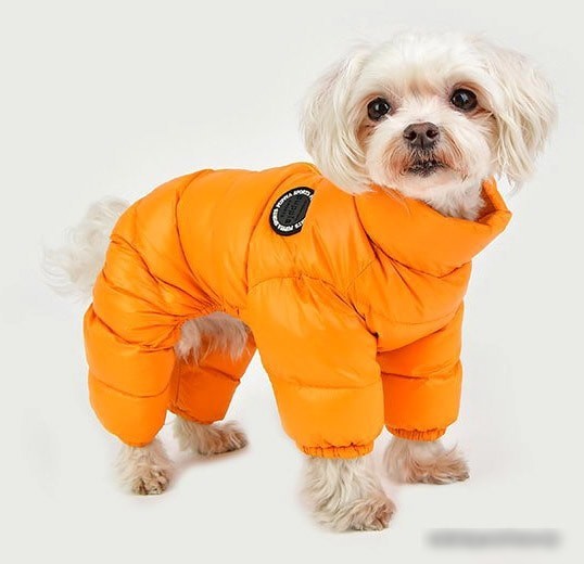 Комбинезон для животных Puppia Jumpesuit А PAPD-JM1672-MS-XL (оранжевый)