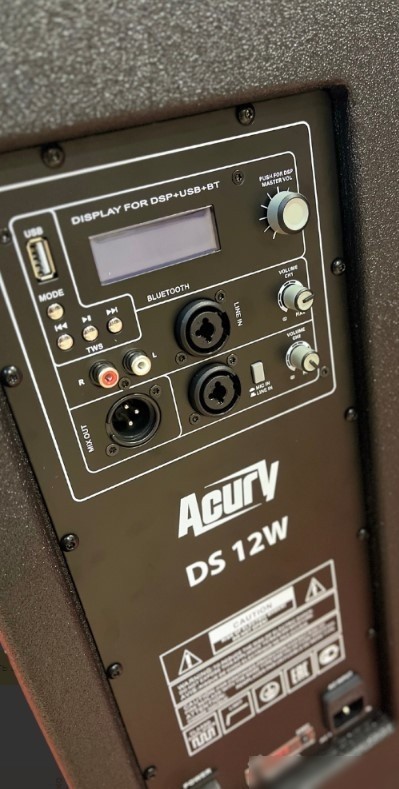 Активная акустика Acury DS12W
