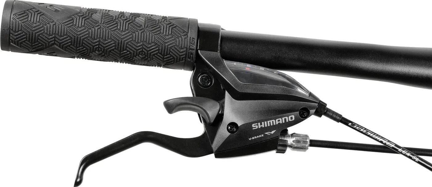 Велосипед Stinger Laguna 29 LG 2026 29AHD.LAGUNA.LGSL6 (серебристый)