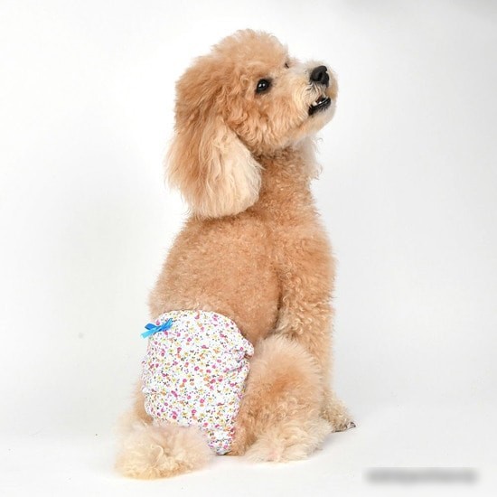 Гигиенические трусы Puppia WildFlower PAUB-PT1806-SB-L (голубой)