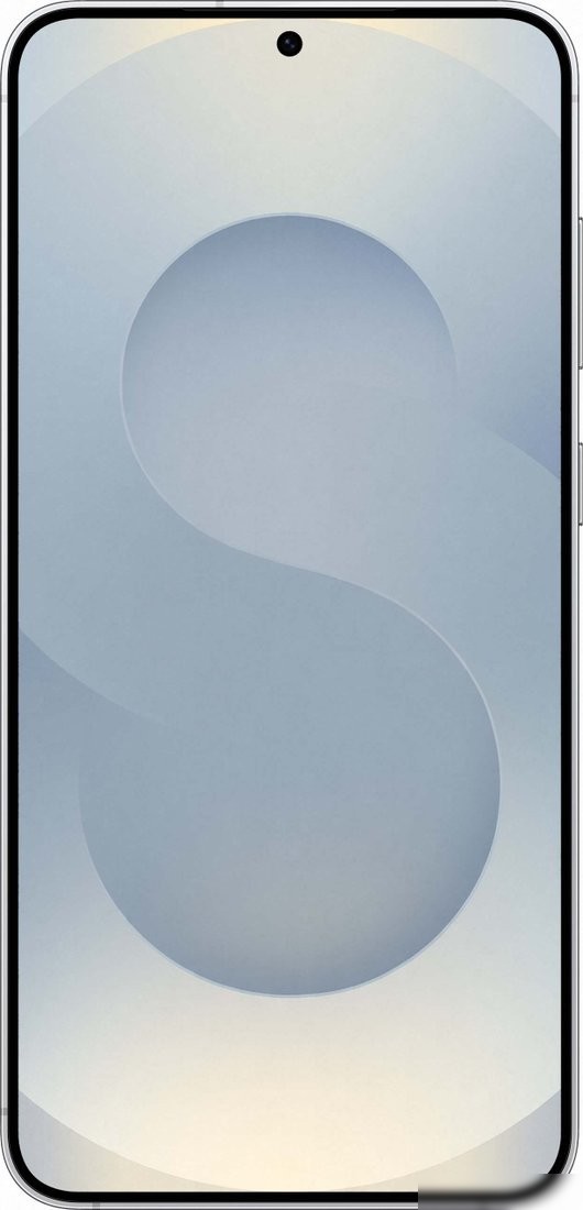 Телефон Samsung Galaxy S25+ SM-S9360 12GB/256GB (серый)