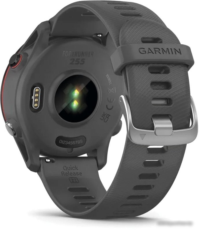 Умные часы Garmin Forerunner 255 (сланцево-серый/черный)