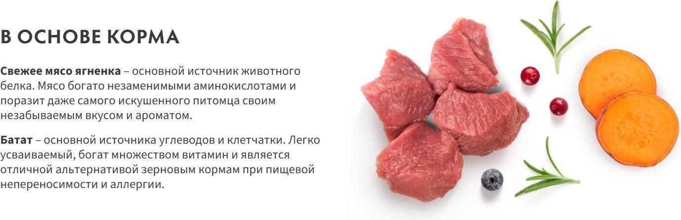 Сухой корм для собак Grandorf Adult Medium&Maxi Breeds Fresh Lamb&Sweet Potato 3 кг