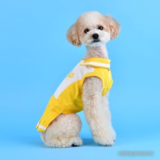 Платье Puppia Ace PATA-OP1742-YE-S (S, желтый)