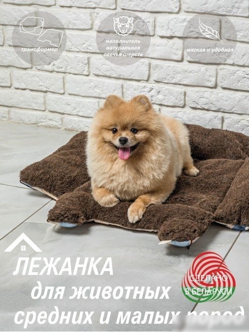 Лежак Lanatex 170 22180 (38x36x15, коричневый)