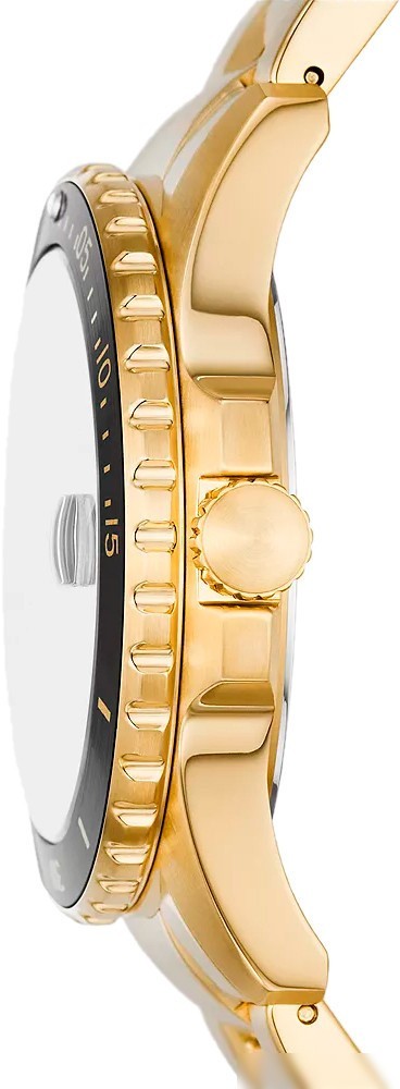 Наручные часы Fossil FS6035