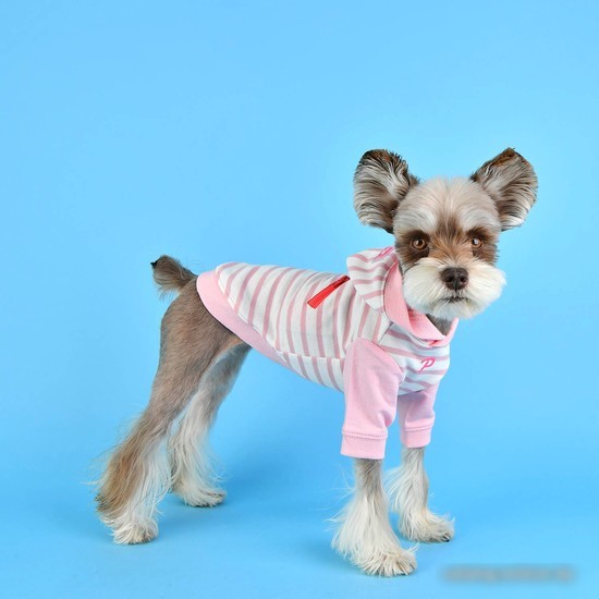 Футболка Puppia Jalen с капюшоном PATA-TS1724-LP-S (розовый)