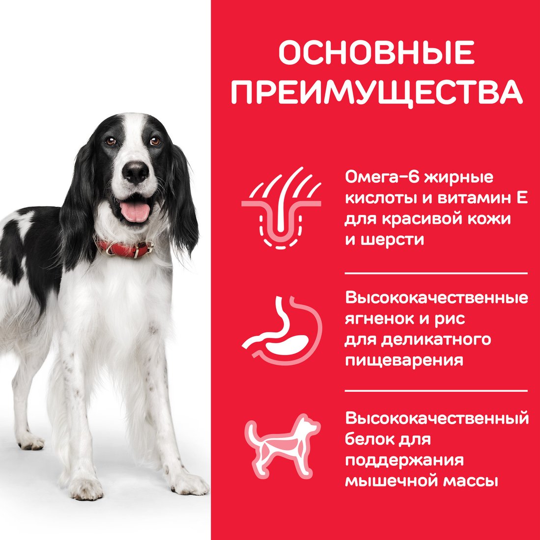Сухой корм для собак Hill's SP для взрослых собак средних пород, с ягненком и рисом 604357 14 кг
