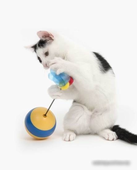 Игрушка для кошек Catit Пчела-волчок