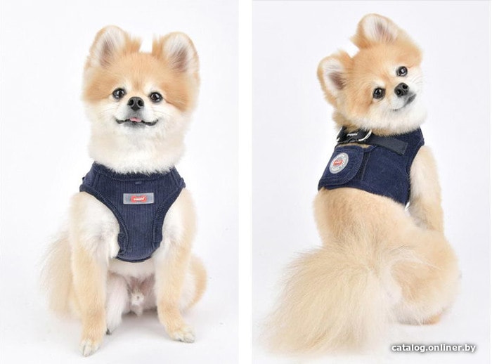 Шлейка Puppia Classy PARD-HB1585-DG-S (серый)