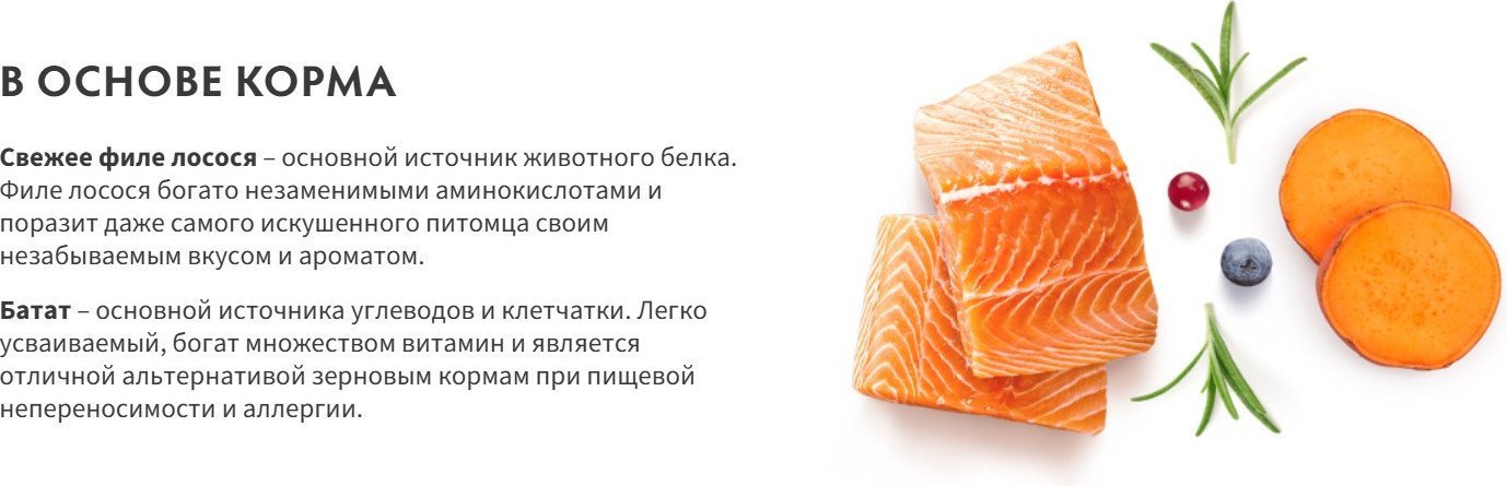 Сухой корм для собак Grandorf Adult Mini Breeds Fresh Salmon&Sweet Potato 3 кг