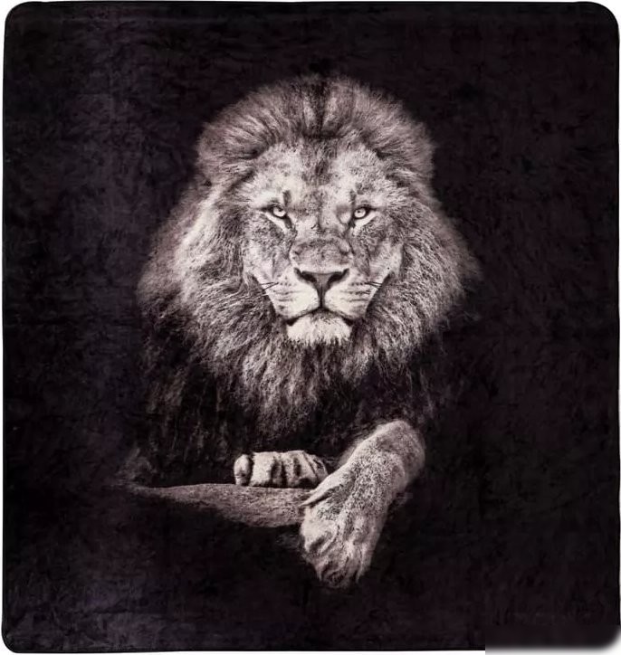 Плед Arya Lion 8680943247339 200x220 (черный)