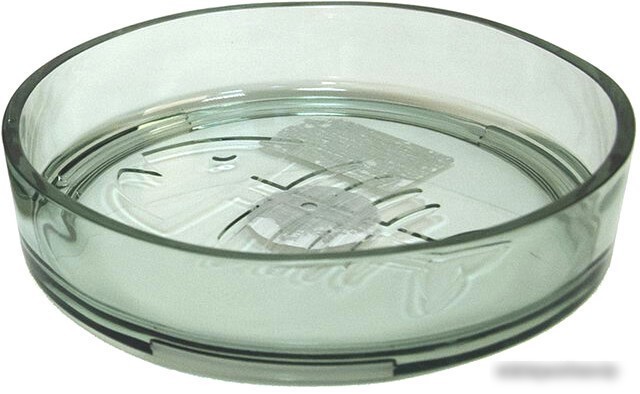 Миска TarHong Avio Momento 180 мл (зеленый)