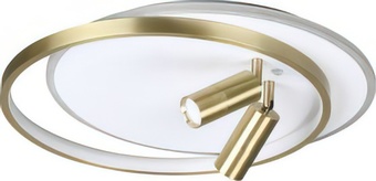 Припотолочная люстра Lumion Naoko 5603/63CL