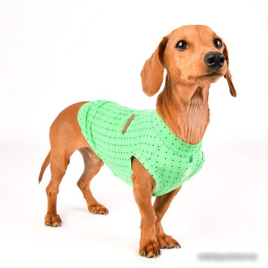 Футболка Puppia Bonnie PAVA-TS1904-GR-M (зеленый)