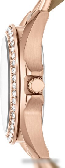Наручные часы Fossil ES3466