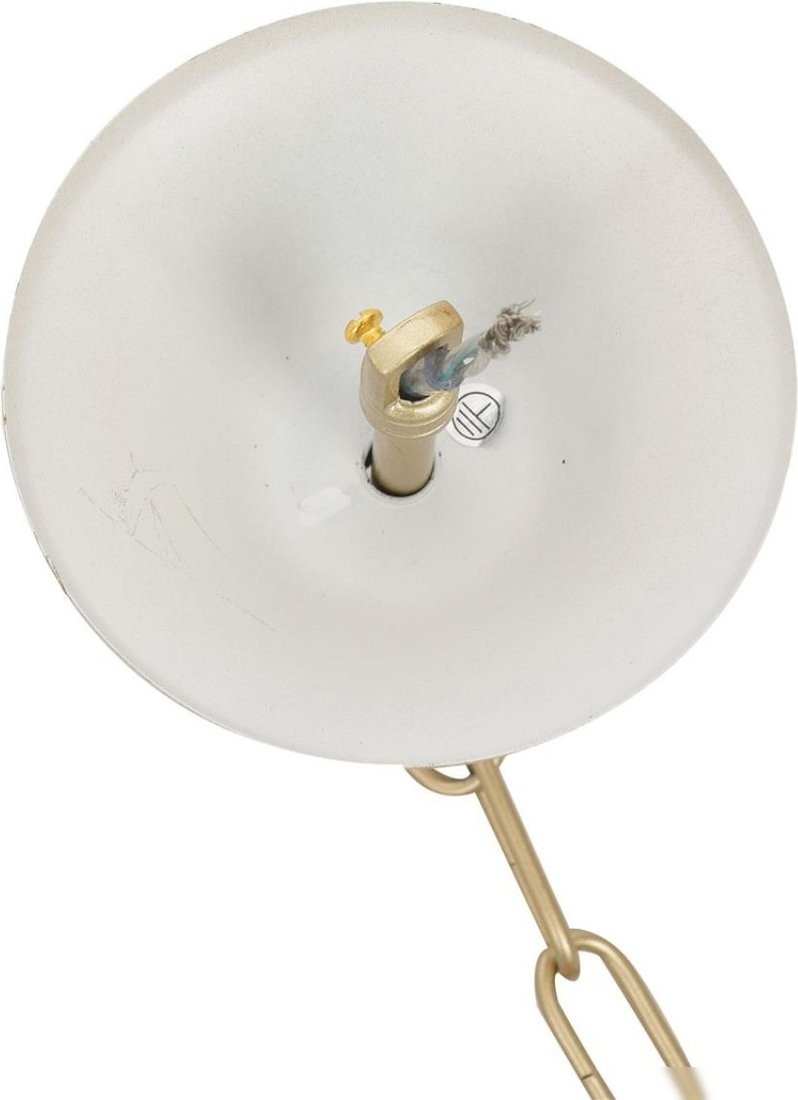 Подвесная люстра Lumion Suana 8318/12