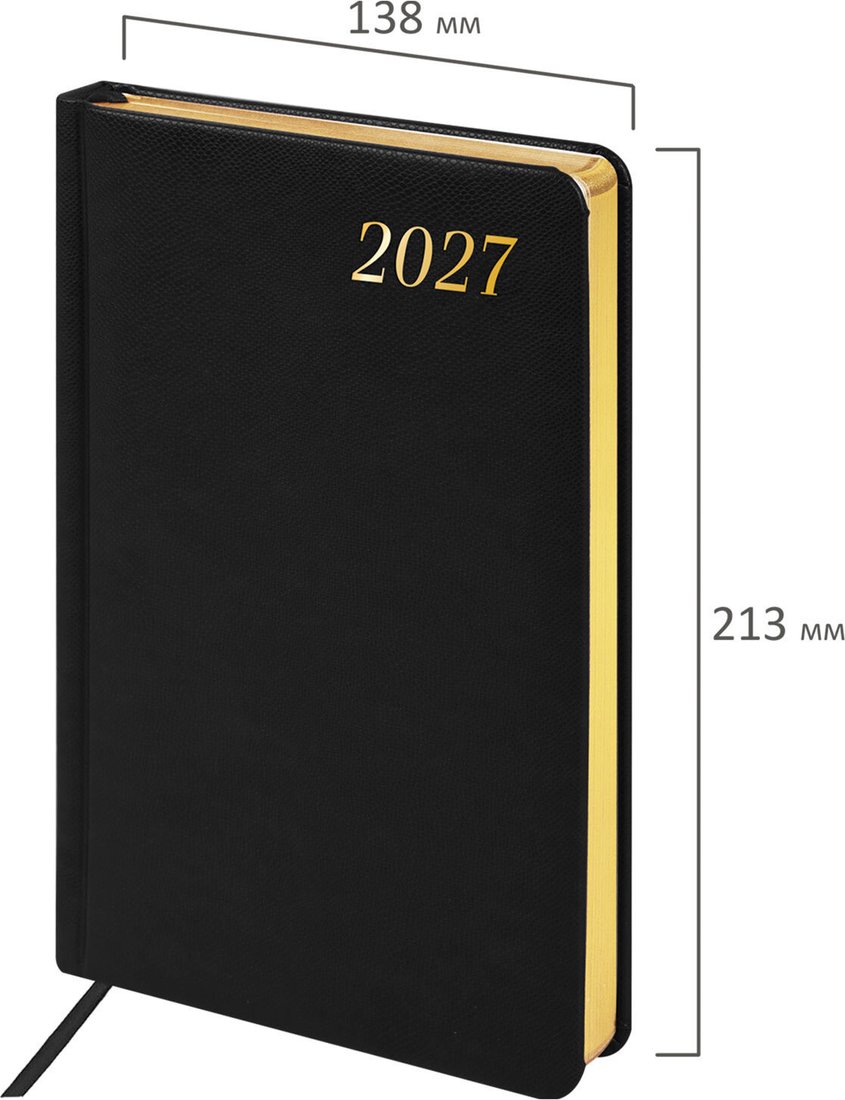Ежедневник BRAUBERG Iguana 2027 117904 (черный)