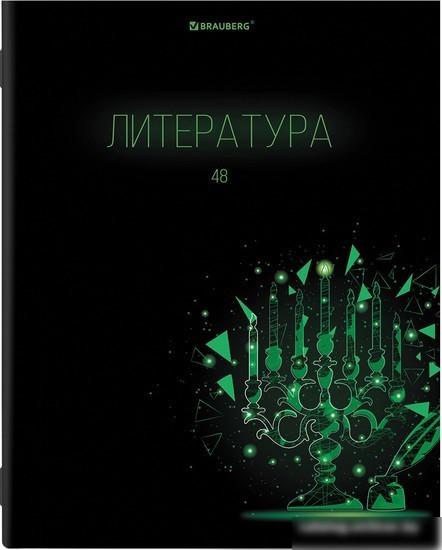 Тетрадь предметная BRAUBERG Dark 404028 (10шт)